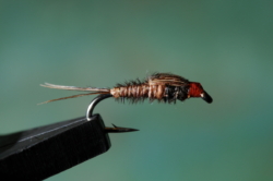 1 Pheasant Tail Nimph