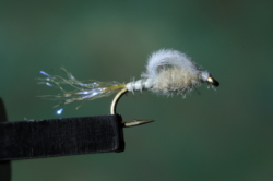 8 Olive Straight Loopwing Emerger