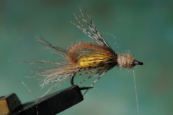 TRANSITION CADDIS