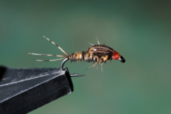 01 BWO NIMPH SLOW WATER