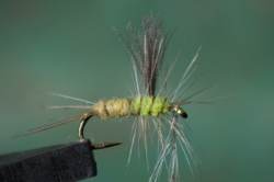 11 BWO DUN 01