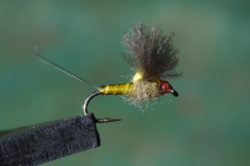 12 BWO DUN 02