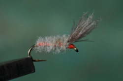 13 BWO SKATING DUN